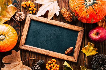 秋色背景和布局南瓜和黄叶框中的板图片