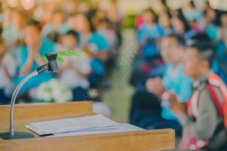 少年演讲人造叶插在学校礼堂讲台上的台式麦克风架上背景