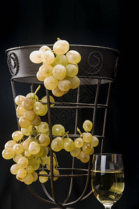 黑色背景中的金葡萄和白葡萄酒静物画图片
