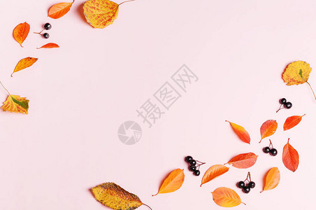 秋季背景由秋叶和粉红色背景的浆果制成平底顶部视图片