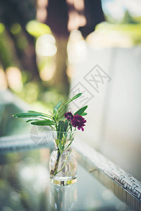 花瓶里放着紫色的花图片