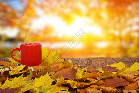 秋叶和热腾的咖啡月亮桌日光背景图片