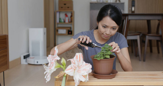 在家种花的女人图片