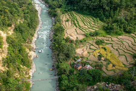 在尼泊尔丛林的一个小农场从图片