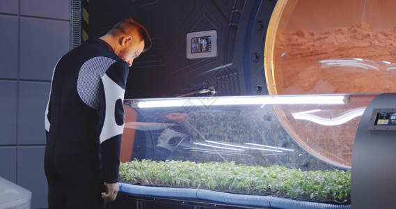 中草药种植基地科学家在火星基地控制一个植物孵化背景