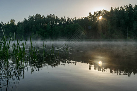 与湖的雾景观背景图片