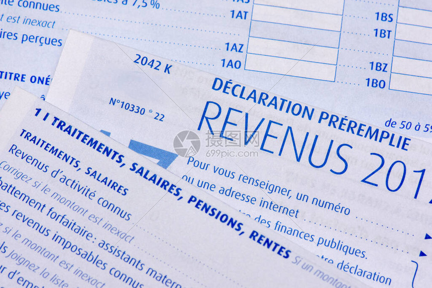 法文预填所得税申报表图片