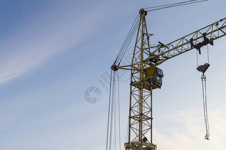 冬季项目捷报频传