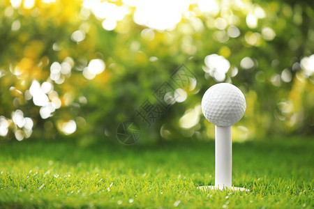 在绿色球场的tee上的高尔夫球图片