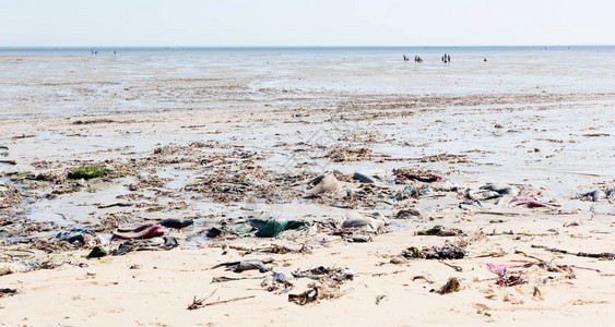 环境概念海滩垃圾污染问题马达加斯背景图片