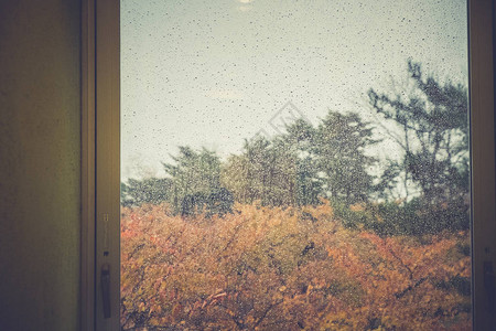 秋天大雨过后雨滴落在窗玻璃上晴天图片