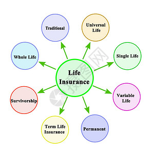 八种人寿保险图片