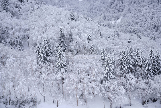 日本北海道的冬山图片