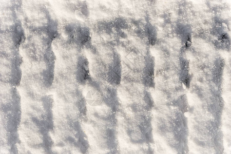 雪背景上的汽车保护器痕迹背景图片