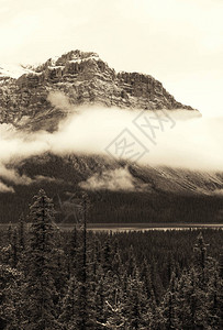 有雾和湖森林的雪山图片