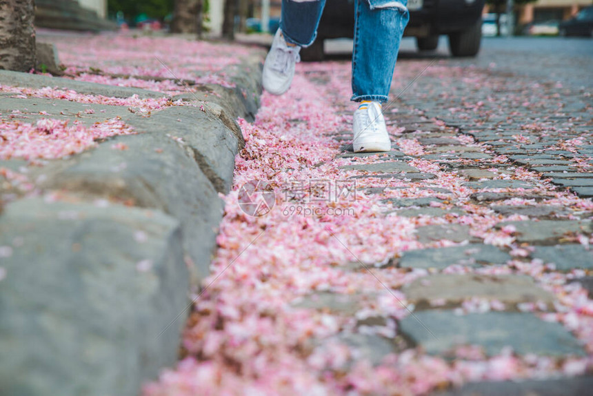 穿着白色运动鞋的女人走在铺着樱花落花的小路图片