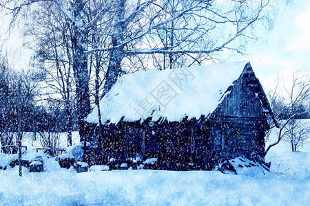 拉脱维亚冬季的老农村耕雪图片