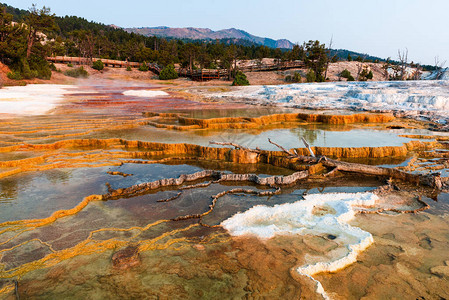 黄石公园Mammoth地图片