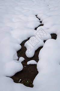 雪中小河图片