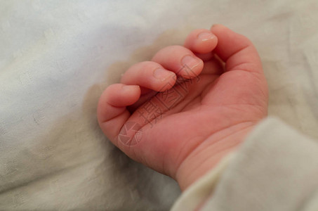 婴儿手指和手掌小图片