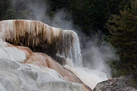 在怀俄明州的Mammoth温泉上漂浮着热蒸汽图片