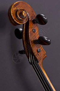 低音提琴头弦乐器图片
