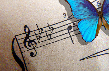 蓝调音乐概念音符高音谱号特写旋律概念蓝蝶在乐谱背景上背景图片