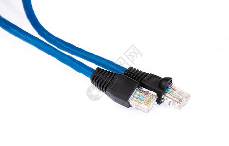 RJ45Lan互联网在白色背景上被孤立LanInt图片