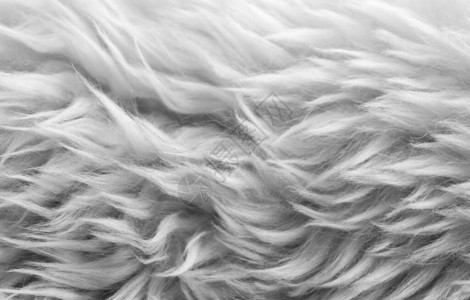 白色柔软的羊毛质地背景棉毛轻质天然羊毛白色蓬松毛图片