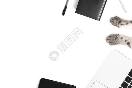 黑色笔记本和笔智能手机白色笔记本电脑白色背景上的灰色猫爪在家工作远程就业在线业务宠物的概念简背景图片