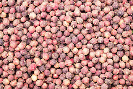Lychee是肥皂莓家族Sapindindicaceae的Genus图片