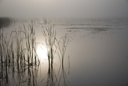 晨雾笼罩着一个小湖图片