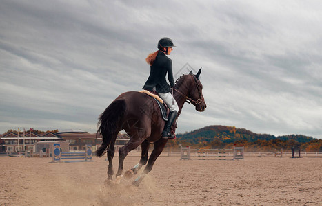 马术骑马的女人图片