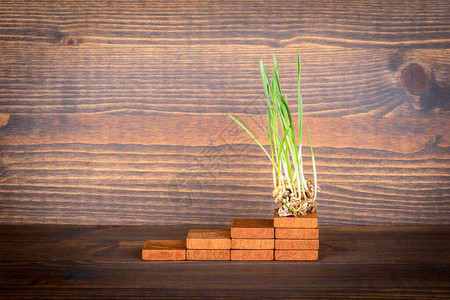 木台阶上的绿草经济增长发展职图片