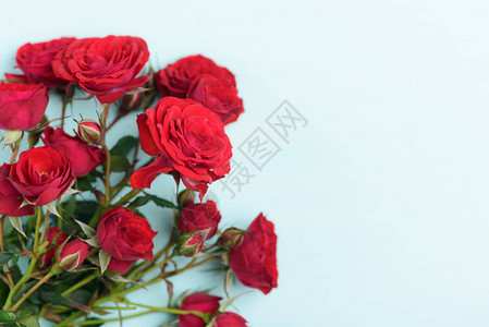 美丽的红玫瑰花束披面彩色背景复制图片