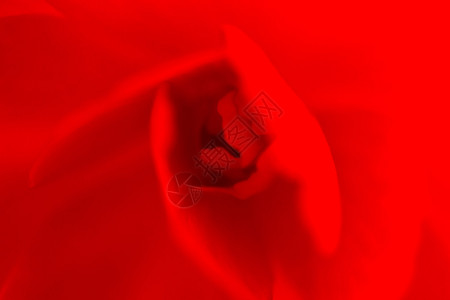 单一红贝戈尼亚抽象巨集用图片