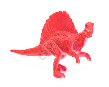 白色背景上孤立的玩具小恐龙背景