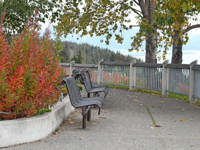 秋天空旷的公园长凳图片
