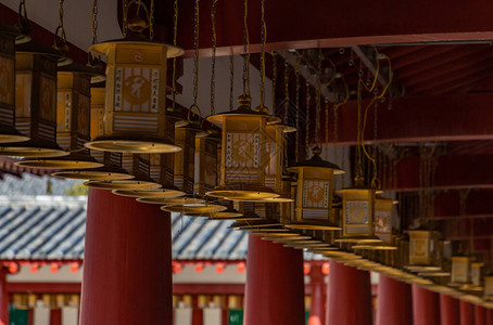 厚野寺内展示的一束的特写图片图片