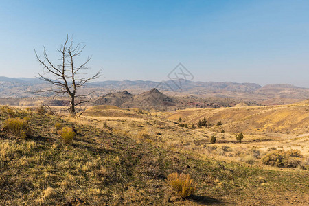 在美国俄勒冈州油画山的干旱地貌图片