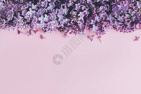 时尚的春天平躺花卉贺卡与tex的空间紫丁香花边框背景图片