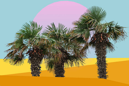 美丽而抽象的超现实景观棕榈树拼图概念当代颜色和社会背景图片