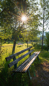 长木凳和明亮的阳光绿色的风景图片