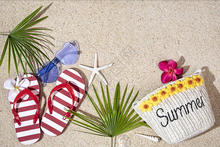 红条状翻滚拖鞋frangipani鲜花蓝太阳眼镜和绿棕榈叶图片
