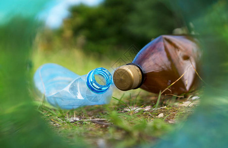 森林里的塑料瓶子环境污染的概图片