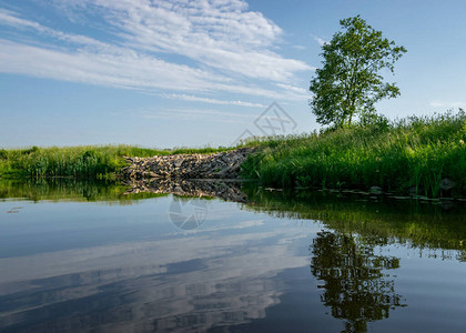 绿色夏季地貌河岸污染水泥石块投入河中图片