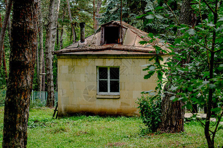 童话森林中的小房子图片