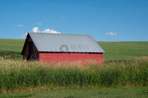 在华盛顿州东部Palouse地区的一个田地中间的图片