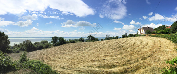 夏天的丘陵景观图片