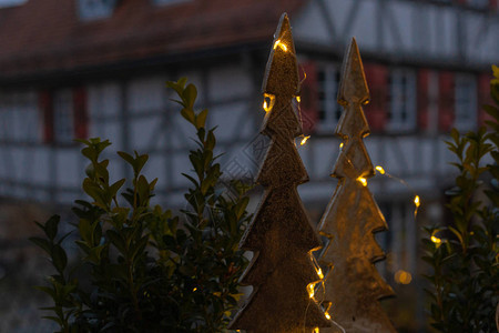 冬季庆祝活动中带LED灯的圣诞树图片
